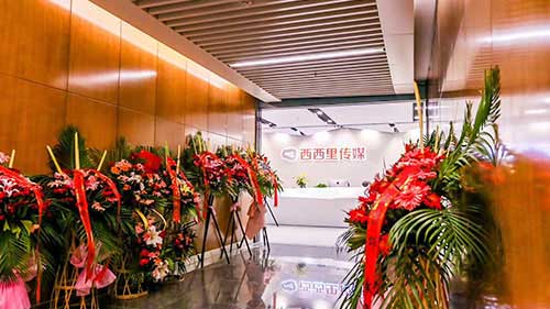 西西里传媒办公室综合布线及弱电系统心博网页版在线登录